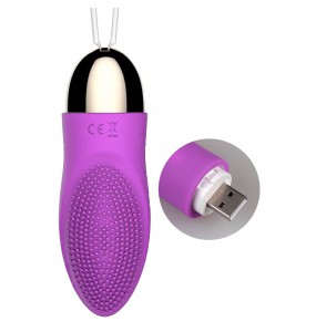 HK LETEN Feather Brush Design Invisible Series Wireless Remote Vibrating Egg (Chargeable - Purple)